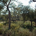 2009_portugal 233
